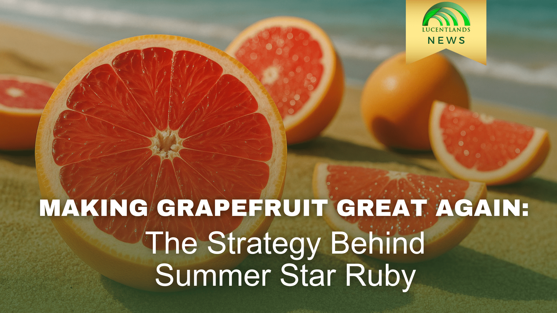 NEWSLETTER COVER (10) Summer Star Ruby