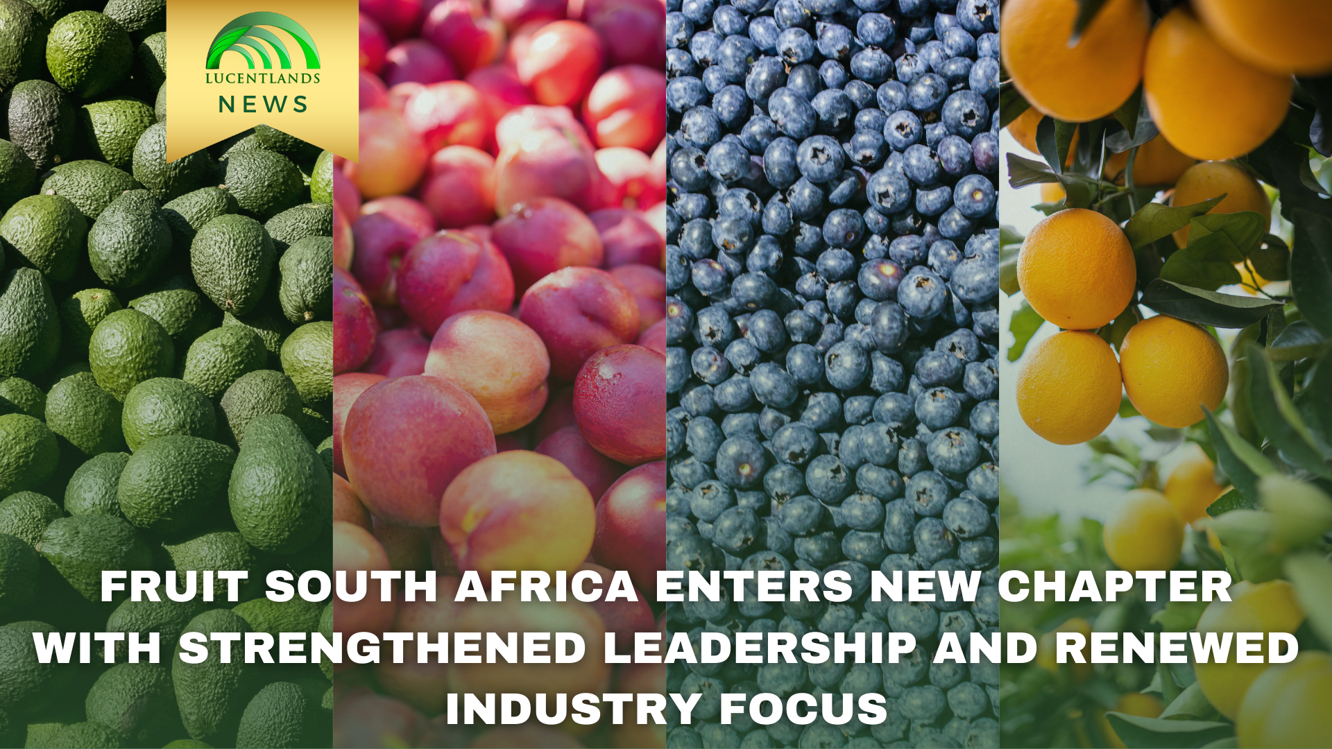Fruit South Africa leadership